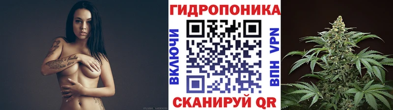 Марихуана Bruce Banner  Реутов 